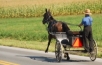 Amish buggy in Lancaster