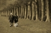 Walking the dog, Versailles