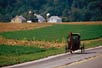 Amish buggy, Lancaster County, Pa