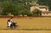 Biking in Assisi