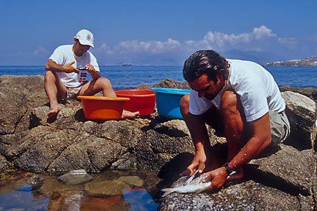 Fish cleaning, Mykonos