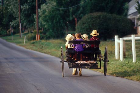 Amish children, Lancaster County, Pa