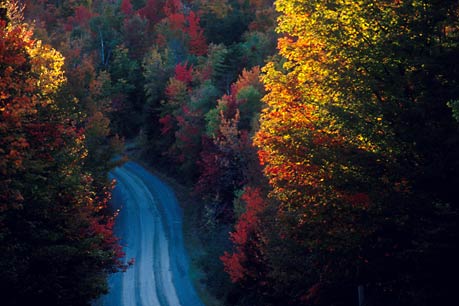 Last light, autumn, Vermont