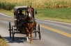 Amish transport