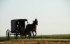 Traditional Amish transport