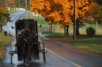 Amish transport in autumn