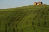 Farm land, Tuscany