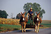 Amish cart, Lancaster County, Pa