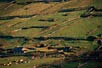 Farm and stone fences, Dingle Peninsula