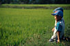 Boys viewing rice fields, Vietnam