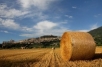 Assisi farmland